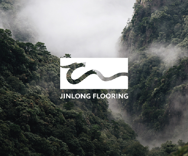 如何創(chuàng)造創(chuàng)建一個(gè)有效的科技企業(yè)品牌戰(zhàn)略和科技企業(yè)vi設(shè)計(jì)